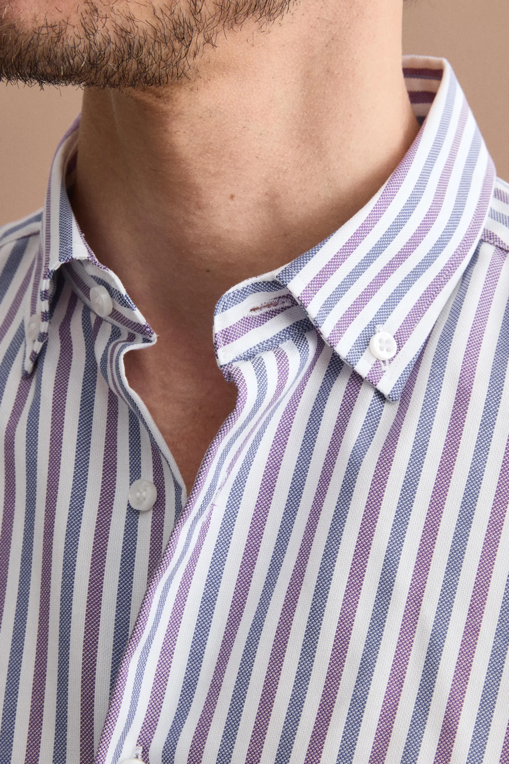 Camicia Regular Button Down a Righe - RIGATO VIOLA/BLU