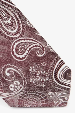 Cravatta paisley uomo - FANT. BORDEAUX