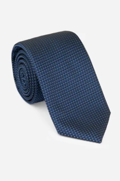 Cravatta pois - POIS fondo BLU