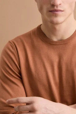 Maglia girocollo in cotone - TERRACOTTA