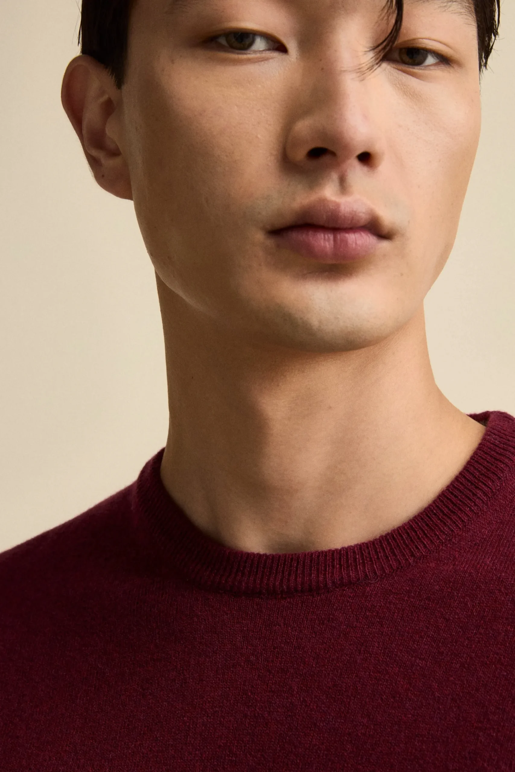 Maglia Girocollo Regular Fit in Lana Merino - BORDEAUX