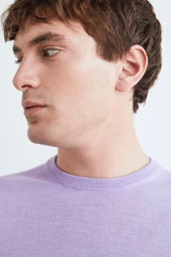 Maglia lana girocollo - GLICINE