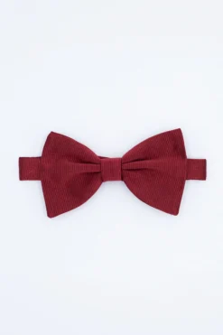 Papillon Elegante in Seta - BORDEAUX
