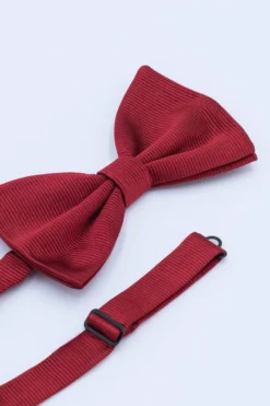 Papillon Elegante in Seta - BORDEAUX