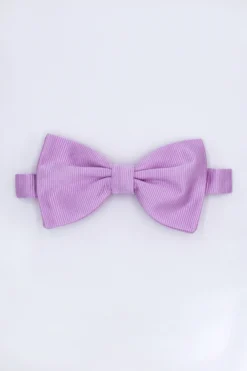 Papillon Elegante in Seta - GLICINE