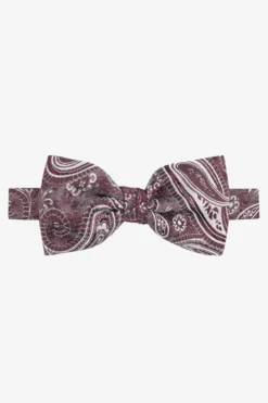 Papillon fantasia paisley - FANT. BORDEAUX