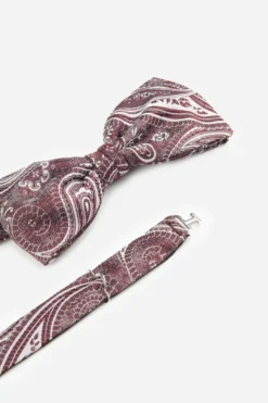 Papillon fantasia paisley - FANT. BORDEAUX