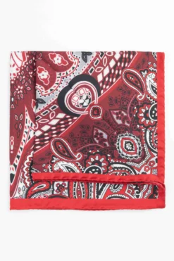Pochette fantasia paisley - FANT. BORDEAUX