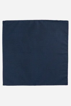 Pochette pois - POIS fondo BLU
