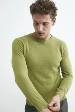 Pullover girocollo in cotone - LICHENE