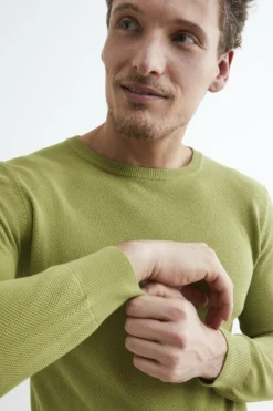 Pullover girocollo in cotone - LICHENE